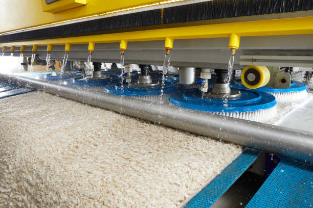 Commercial Carpet Washing Near Me Brighton